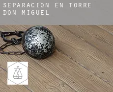 Separación en  Torre de Don Miguel