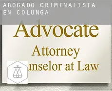Abogado criminalista en  Colunga