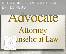 Abogado criminalista en  Espejo