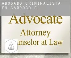 Abogado criminalista en  Garrobo (El)