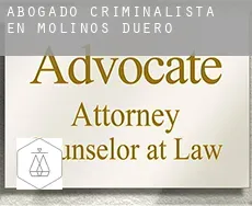 Abogado criminalista en  Molinos de Duero