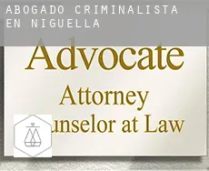 Abogado criminalista en  Nigüella