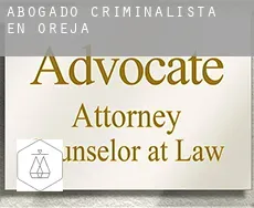 Abogado criminalista en  Orexa