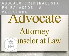 Abogado criminalista en  Palacios de la Valduerna