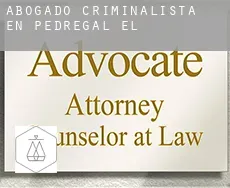 Abogado criminalista en  Pedregal (El)