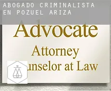 Abogado criminalista en  Pozuel de Ariza