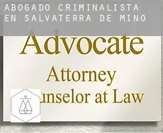 Abogado criminalista en  Salvaterra de Miño