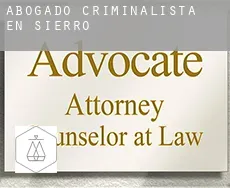 Abogado criminalista en  Sierro