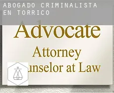 Abogado criminalista en  Torrico