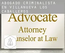 Abogado criminalista en  Villanueva de los Caballeros
