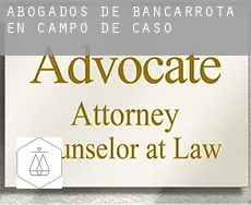 Abogados de bancarrota en  Campo de Caso