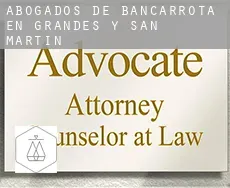 Abogados de bancarrota en Grandes y San Martín