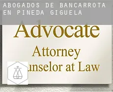 Abogados de bancarrota en  Pineda de Gigüela