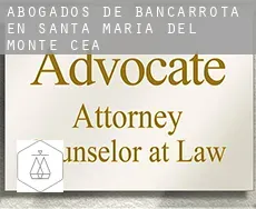 Abogados de bancarrota en  Santa María del Monte de Cea