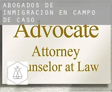 Abogados de inmigración en  Campo de Caso