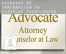 Abogados de inmigración en  Cozuelos de Fuentidueña