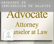 Abogados de inmigración en  Gajates