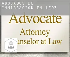 Abogados de inmigración en  Leoz