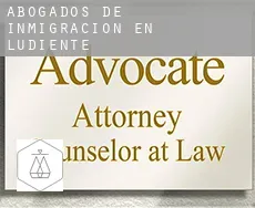Abogados de inmigración en  Ludiente
