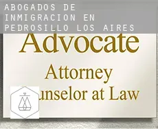 Abogados de inmigración en Pedrosillo de los Aires