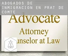 Abogados de inmigración en  Prat de Comte