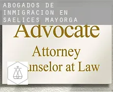 Abogados de inmigración en  Saelices de Mayorga