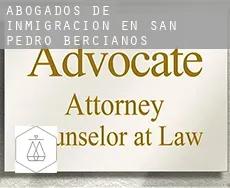 Abogados de inmigración en  San Pedro Bercianos