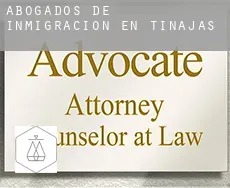 Abogados de inmigración en  Tinajas
