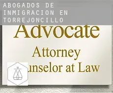 Abogados de inmigración en  Torrejoncillo