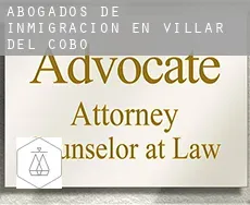 Abogados de inmigración en  Villar del Cobo