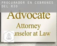 Procurador en  Cebrones del Río