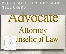 Procurador en Horcajo Medianero