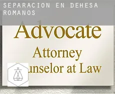 Separación en  Dehesa de Romanos