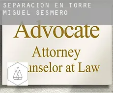 Separación en  Torre de Miguel Sesmero