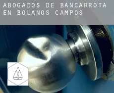 Abogados de bancarrota en  Bolaños de Campos