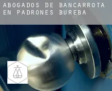 Abogados de bancarrota en  Padrones de Bureba