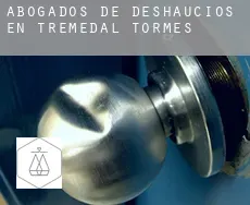 Abogados de deshaucios en  Tremedal de Tormes