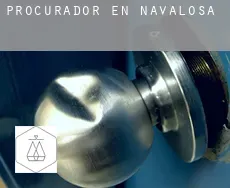 Procurador en  Navalosa