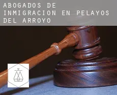Abogados de inmigración en  Pelayos del Arroyo