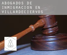 Abogados de inmigración en  Villardeciervos