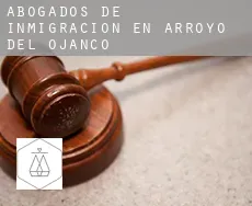 Abogados de inmigración en Arroyo del Ojanco