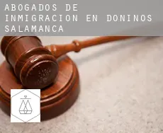 Abogados de inmigración en Doñinos de Salamanca