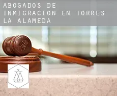 Abogados de inmigración en  Torres de la Alameda