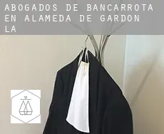 Abogados de bancarrota en  Alameda de Gardón (La)