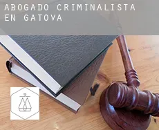 Abogado criminalista en  Gátova