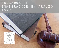 Abogados de inmigración en  Arauzo de Torre