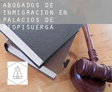 Abogados de inmigración en  Palacios de Riopisuerga