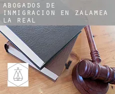 Abogados de inmigración en  Zalamea la Real