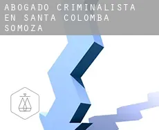 Abogado criminalista en  Santa Colomba de Somoza