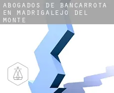 Abogados de bancarrota en  Madrigalejo del Monte